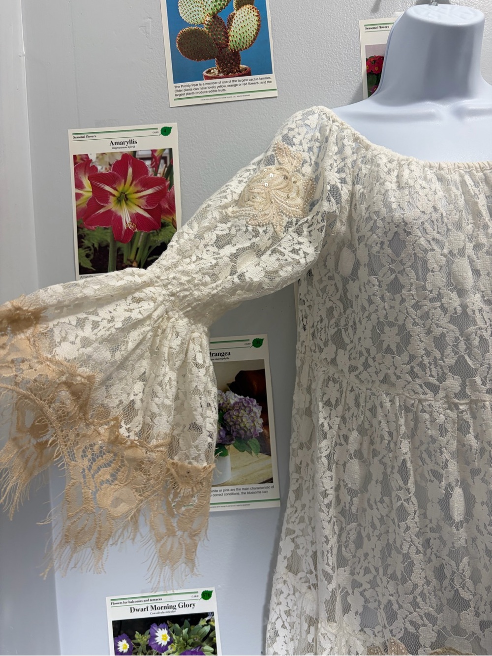 VENUS White Lace Boho Dress with Beige Trim - Picture 5 of 6